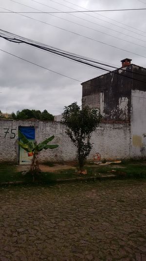 Image 3 - 169765