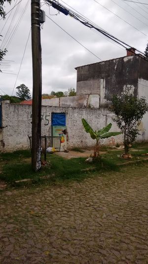 Image 2 - 169765