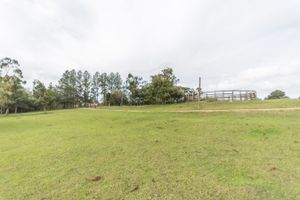 Image 26 - 170087