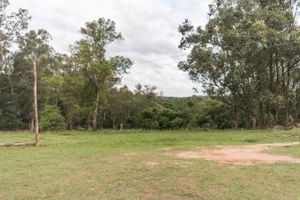 Image 27 - 170087