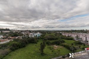 Image 10 - 171715
