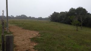 Image 0 - 172018