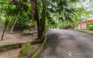 Image 15 - 172107