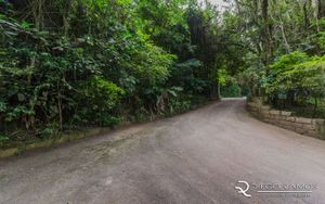 Image 17 - 172107
