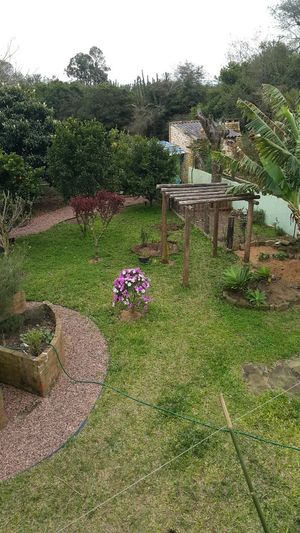 Image 15 - 172279