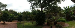 Image 17 - 172279