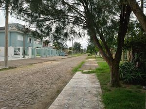 Image 33 - 172790