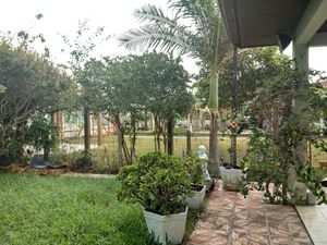 Image 4 - 172790
