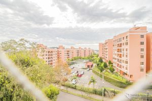 Image 8 - 172991