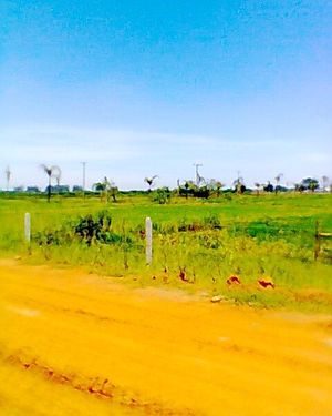 Image 3 - 173430