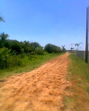 Image 7 - 173430