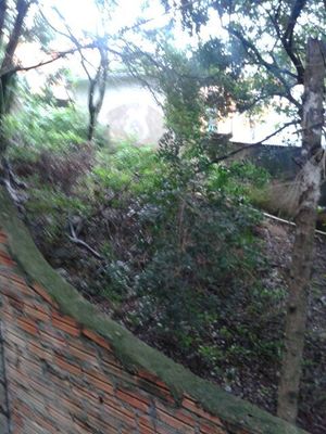 Image 2 - 174047