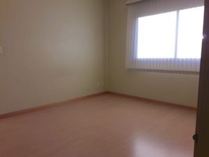 Image 8 - 174142