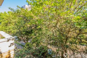 Image 21 - 174144