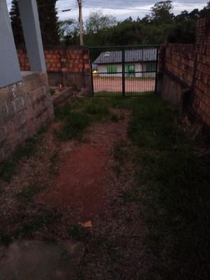 Image 17 - 174160