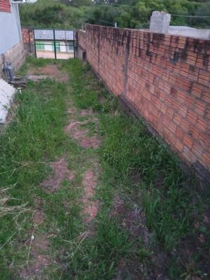 Image 11 - 174160