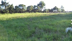 Image 4 - 174257