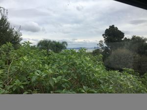 Image 1 - 174395