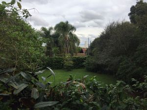 Image 16 - 174395