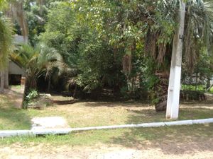 Image 3 - 174734