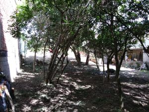 Image 4 - 174734
