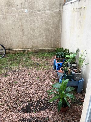 Image 18 - 174764