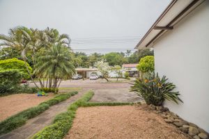 Image 5 - 175166
