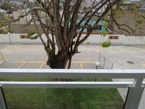 Image 3 - 175559
