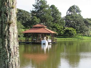 Image 18 - 175588
