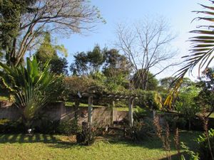 Image 24 - 175588