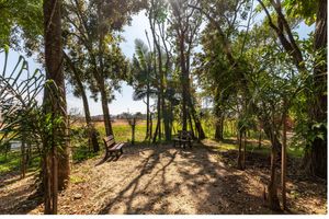 Image 11 - 175849