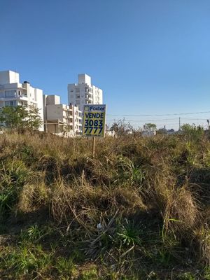 Image 4 - 176102