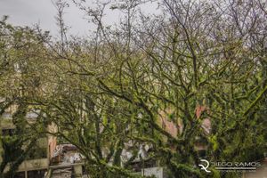 Image 8 - 176530