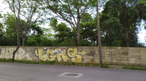 Image 7 - 177146