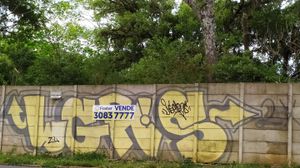 Image 8 - 177146