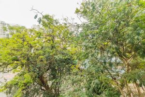Image 8 - 178067