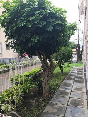Image 15 - 178277