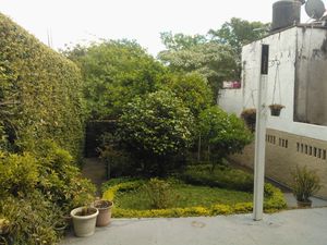 Image 24 - 178439