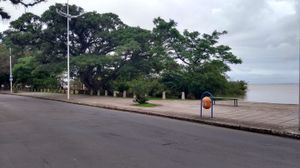 Image 3 - 178741
