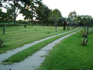 Image 27 - 179043