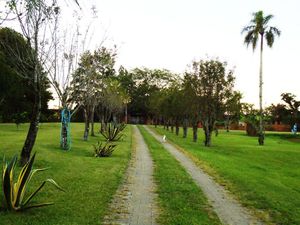 Image 24 - 179043