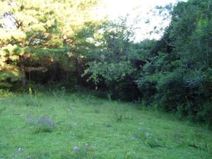 Image 33 - 179043