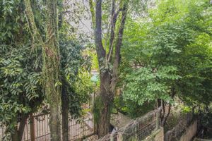 Image 6 - 179276