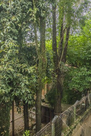 Image 9 - 179276