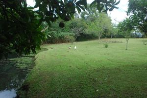 Image 3 - 179858