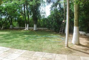 Image 4 - 179858
