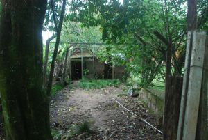 Image 8 - 179858