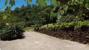 Image 6 - 180258