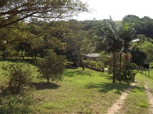 Image 20 - 180258