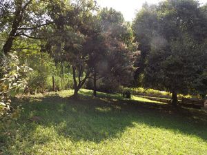 Image 19 - 180258